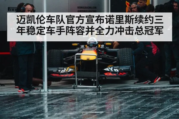 Formula 1 race action