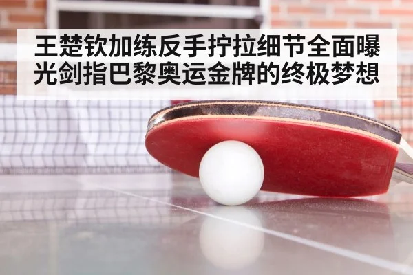王楚钦加练反手拧拉细节全面曝光剑指巴黎奥运金牌的终极梦想